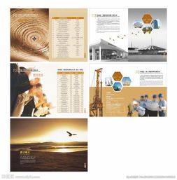 軟件開發(fā)公司的畫冊圖片策劃 視覺敘事與品牌塑造